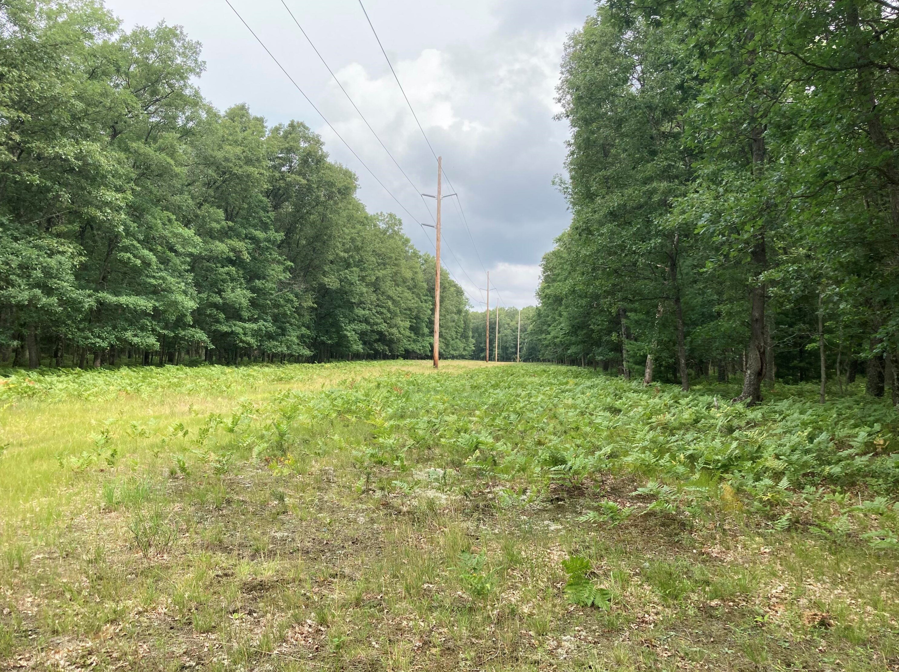 6574 76, Baldwin MI 49304 exterior