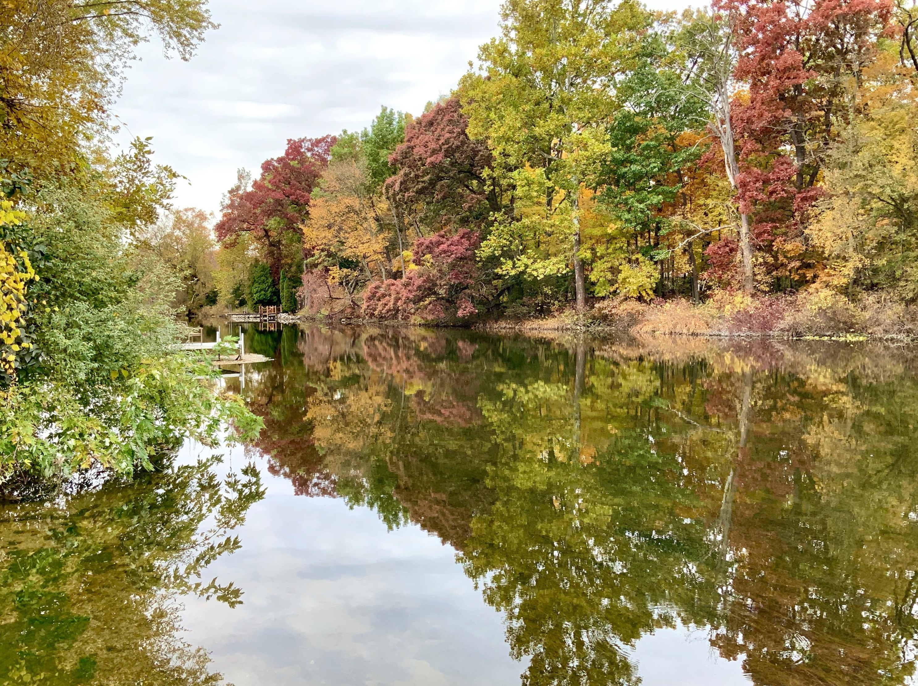 274 Riverview Dr, Coldwater, MI 49036-8293