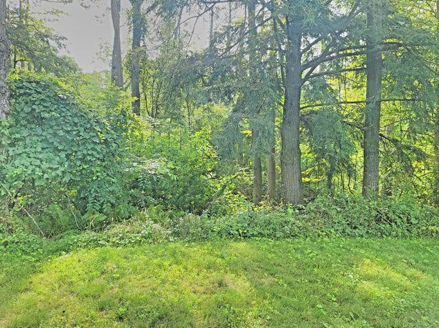 6876 Maple St, Baldwin MI 49304-9454 exterior