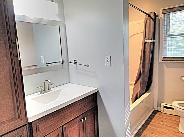 6876 Maple St, Baldwin MI 49304-9454 exterior