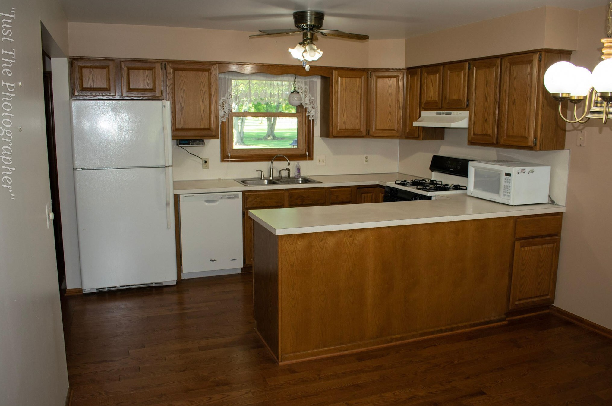 988 Amberwood Dr, Byron Township, MI