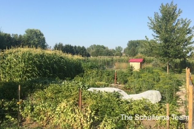 10720 56 Ave, Allendale MI 49401-8352 exterior