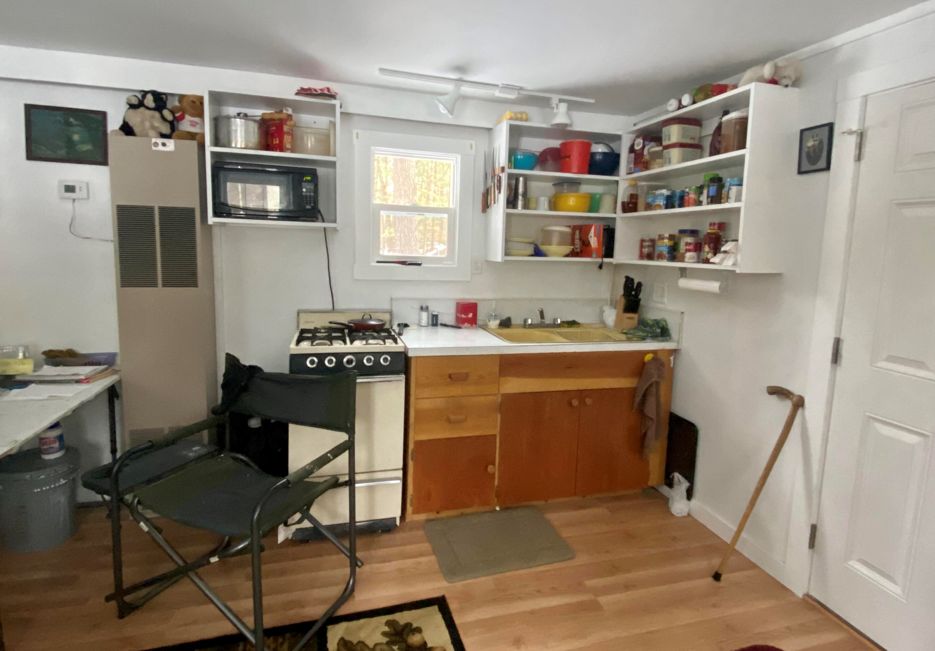 2409 Northland Dr, Baldwin MI  49304-8083 exterior