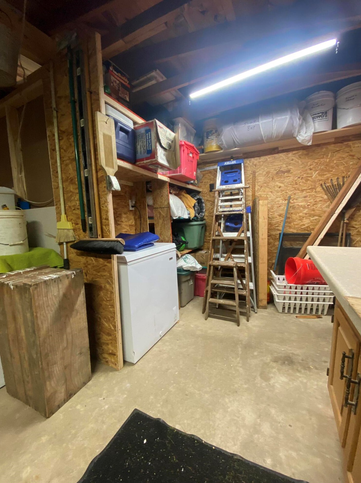 2409 Northland Dr, Baldwin MI  49304-8083 exterior