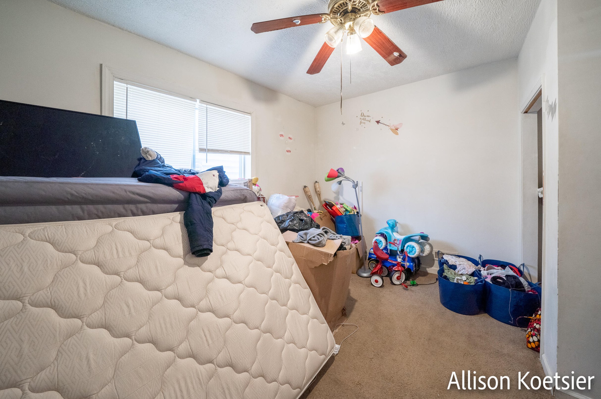 817 Veto St, Grand Rapids MI  49504-6356 exterior