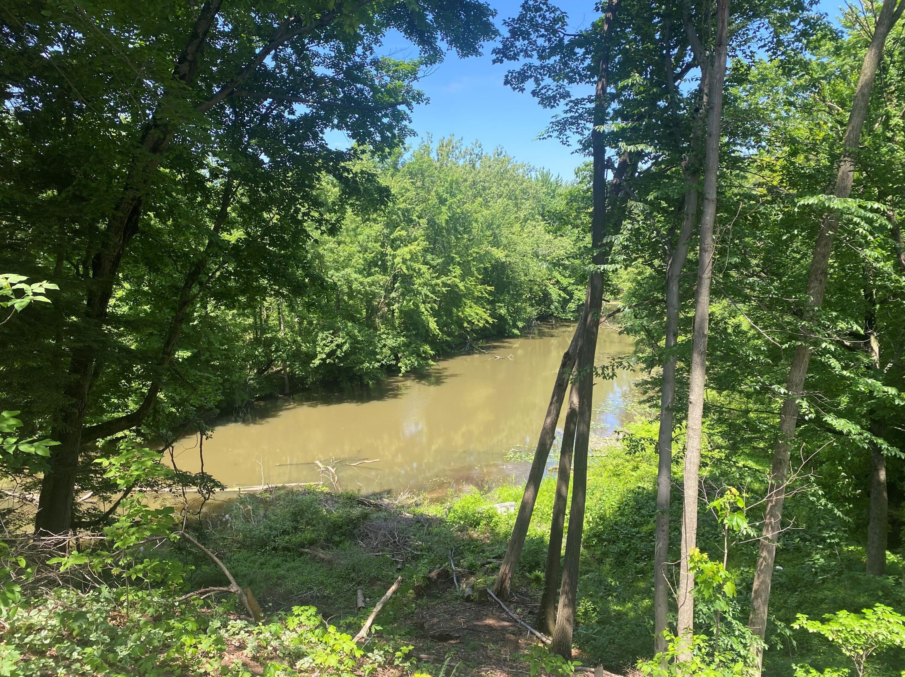 4519 Scenic Dr, Hamilton, MI 49419