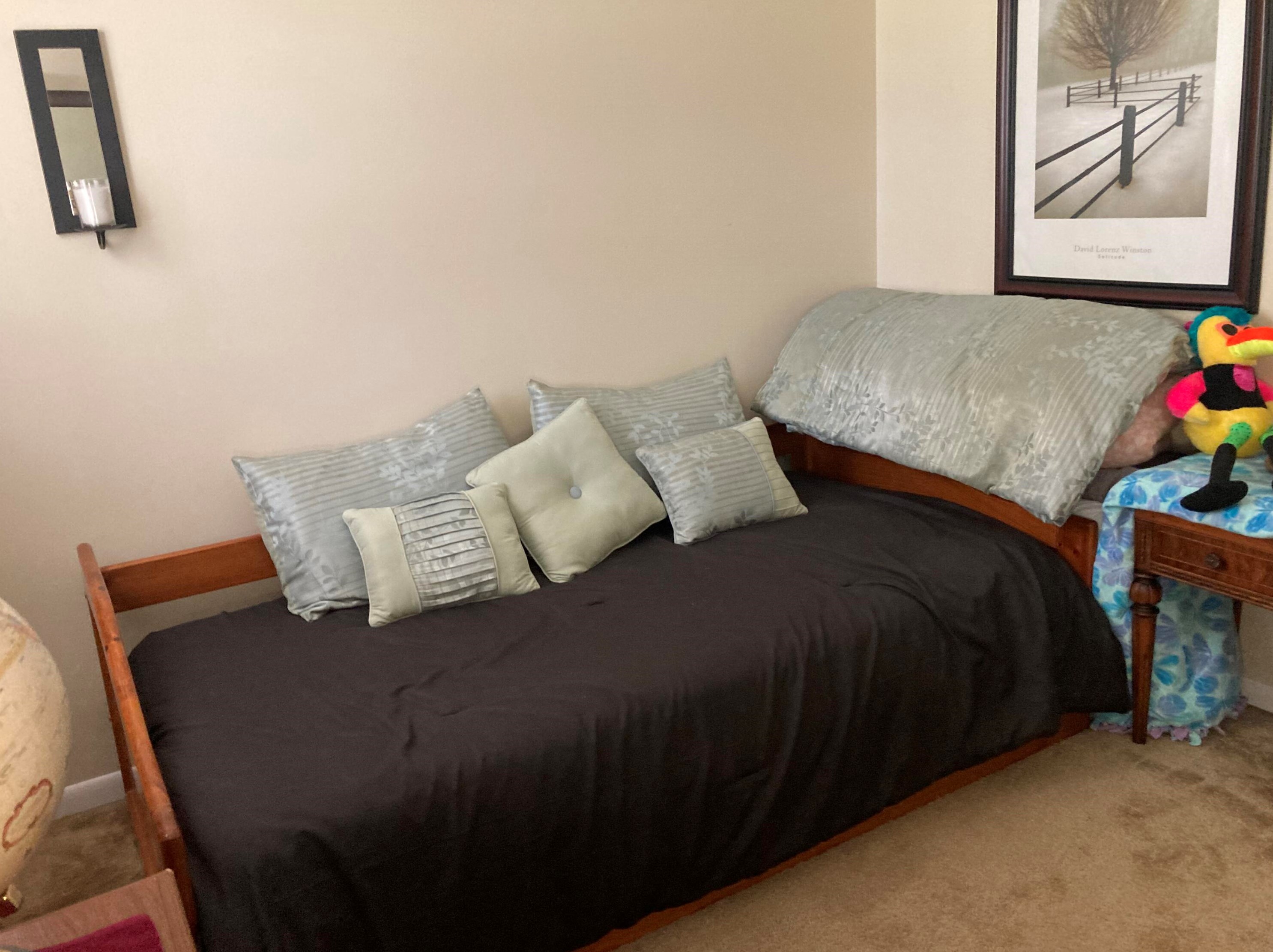 627 Fall River Dr, Coldwater MI 49036-9170 exterior