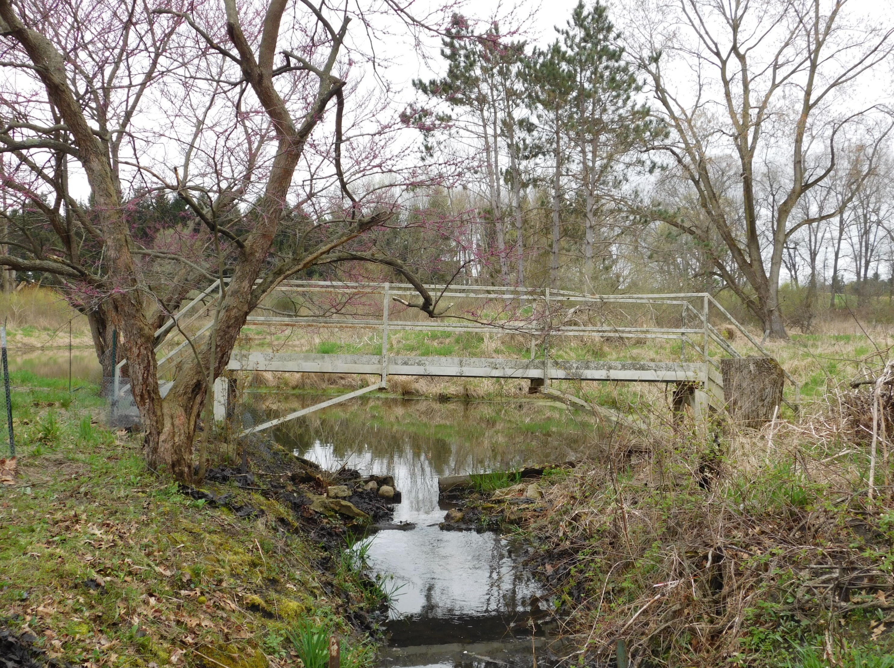 2435 S M Dr, Athens, MI 49011