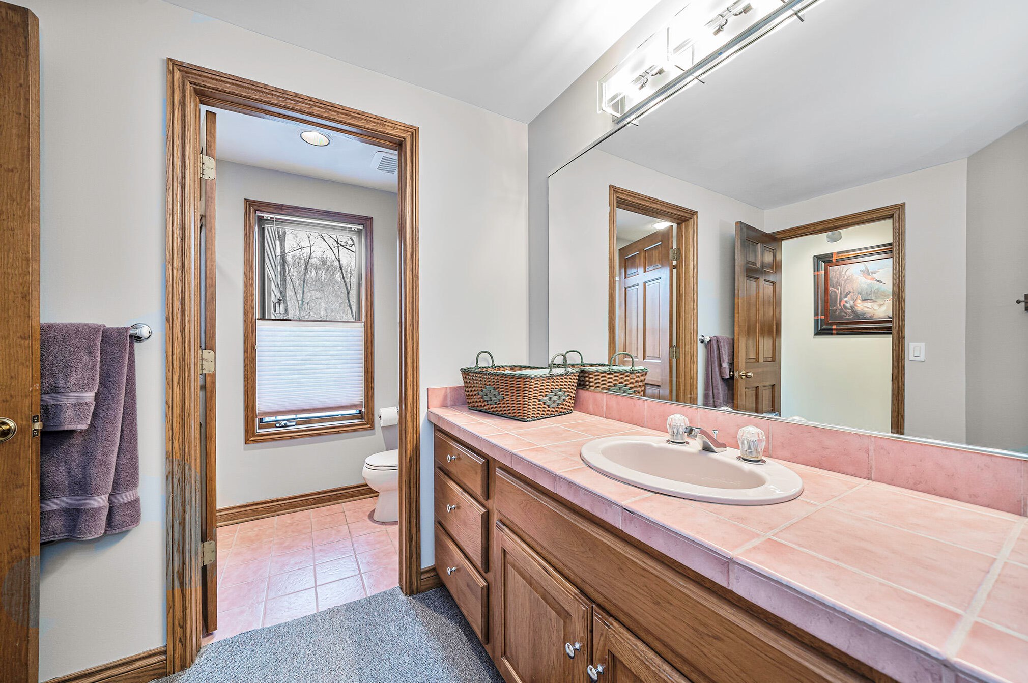 2850 Foxfire Ln, Ada MI 49301-9351 exterior