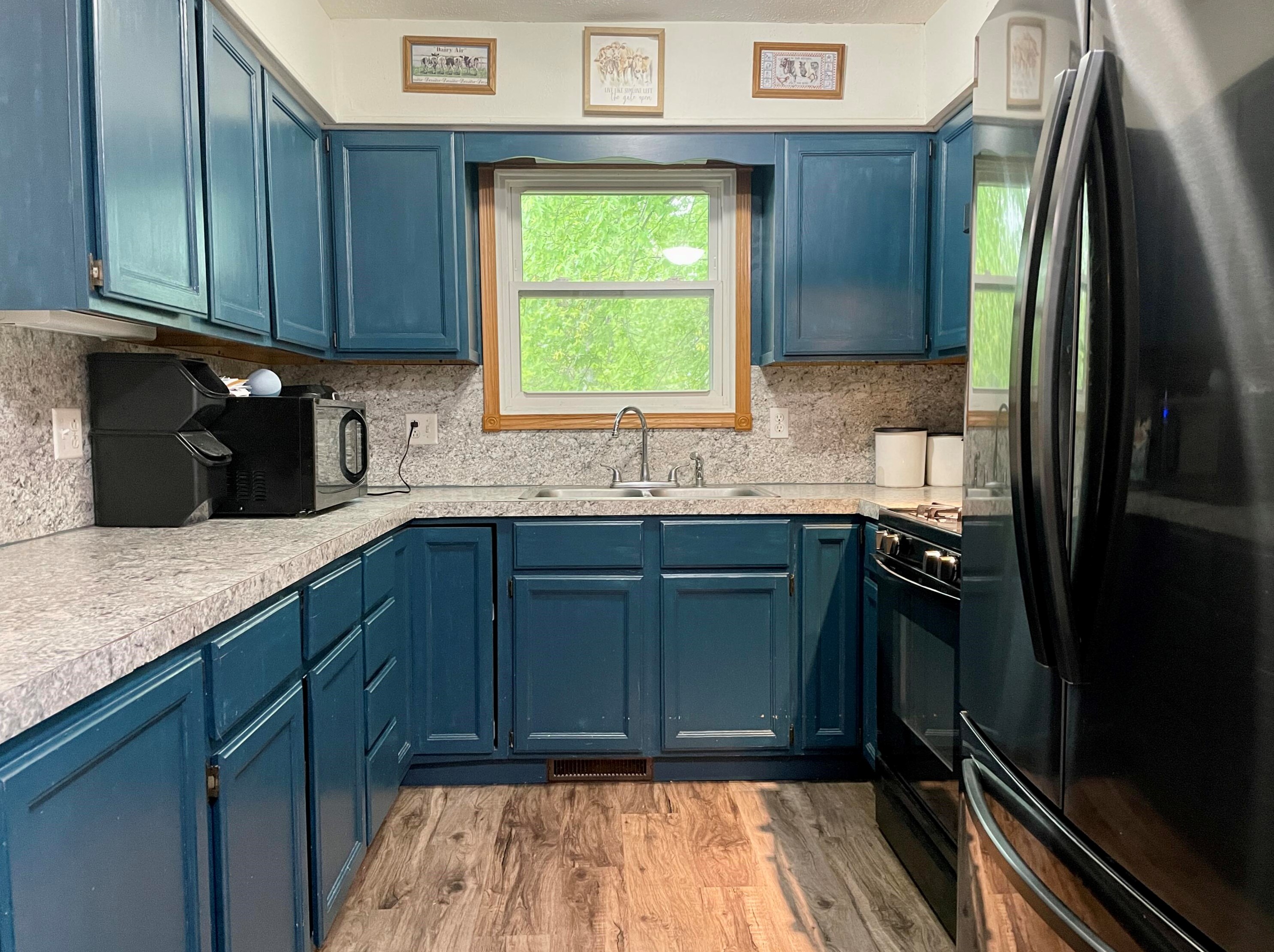 10376 Elm Rd, Clarksville, MI 48815-9773