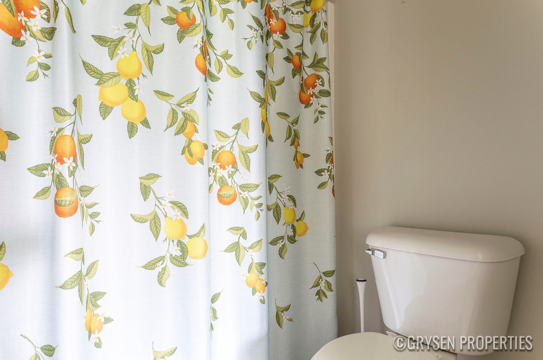 1238 Mesa Junction Dr, Byron Township MI 49315-8073 exterior