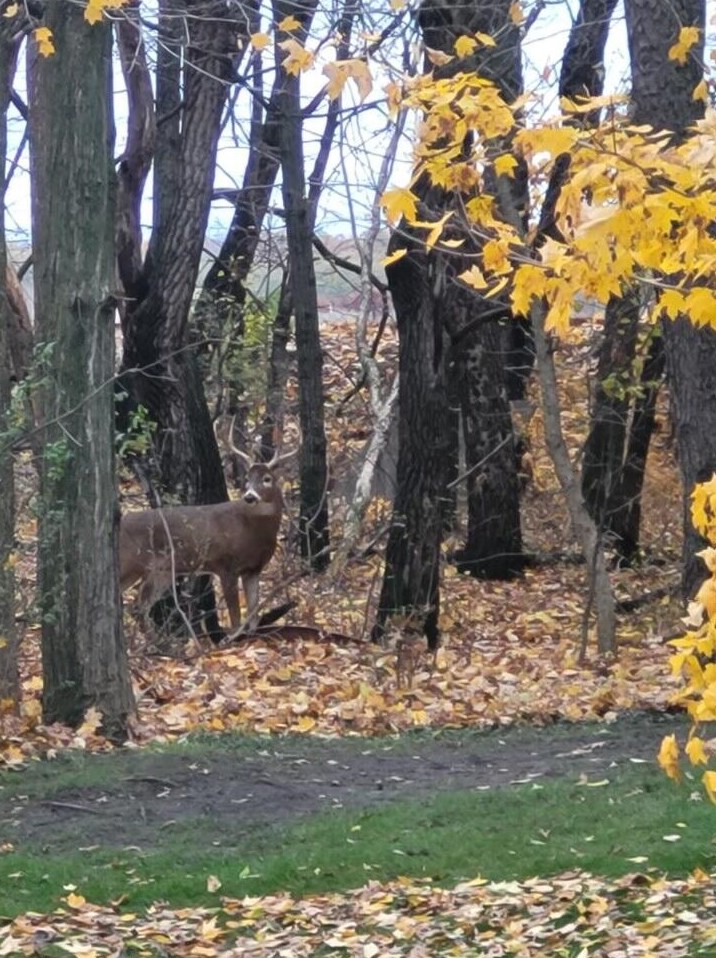 4480 Coit Ave, Grand Rapids MI 49525-1110 exterior