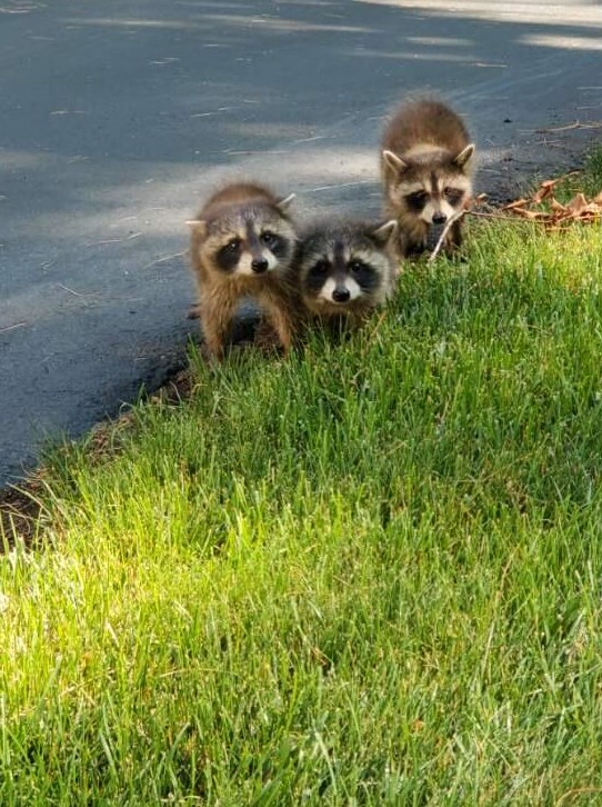 4480 Coit Ave, Grand Rapids MI 49525-1110 exterior