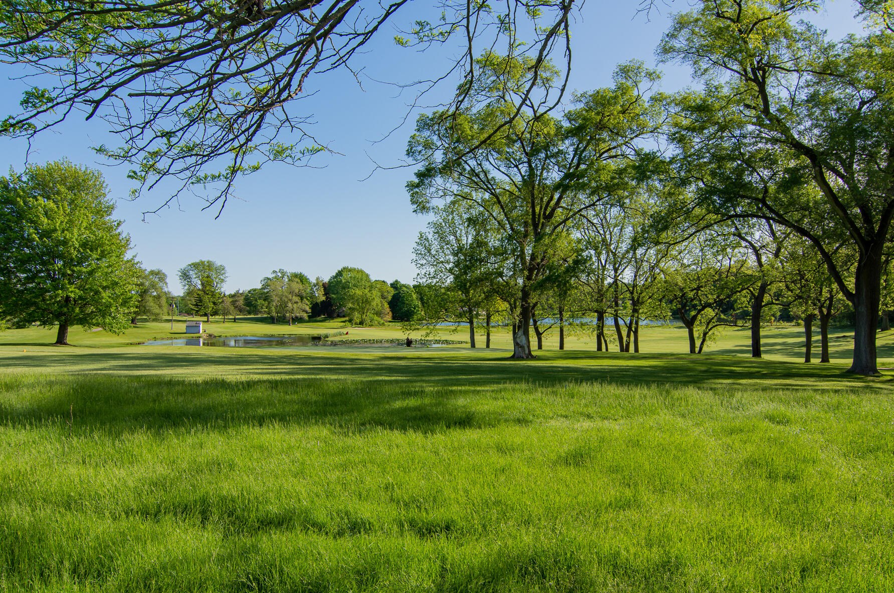 16549 Rynearson St, Glendora, MI 49107