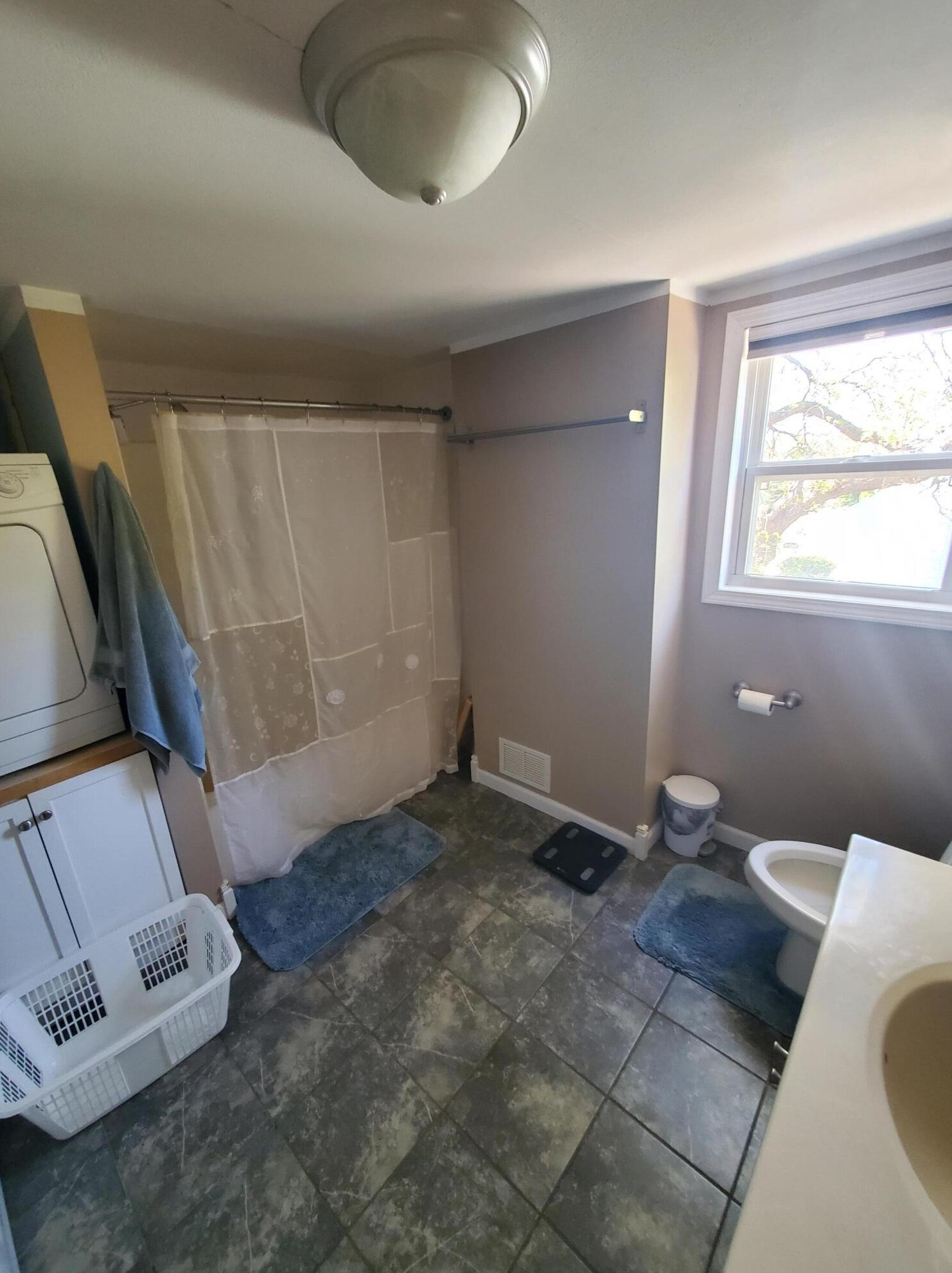 205 Main St, Spring Arbor MI  49283-9673 exterior