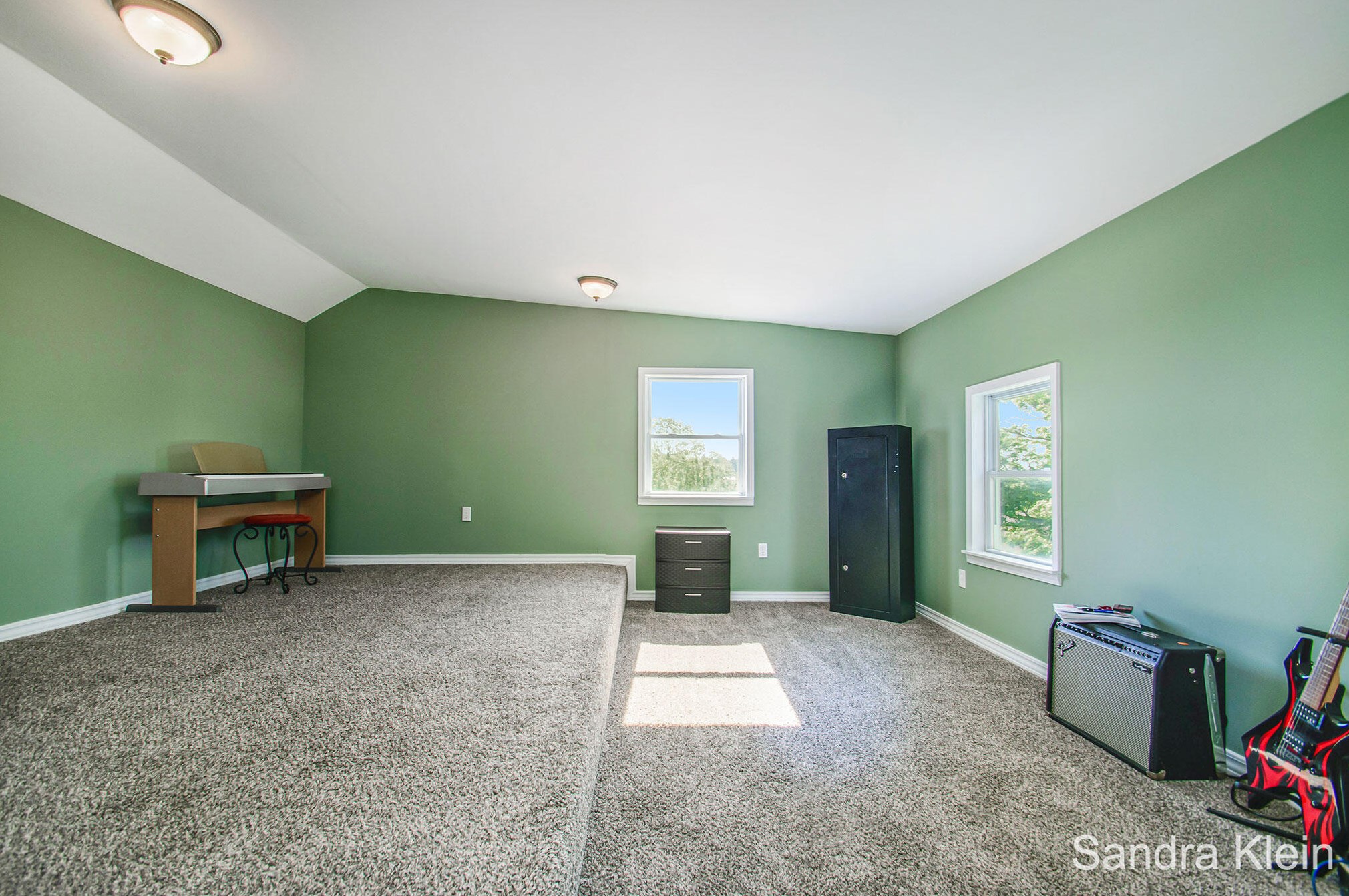 7680 Sayles Rd, Saranac MI 48881-9408 exterior