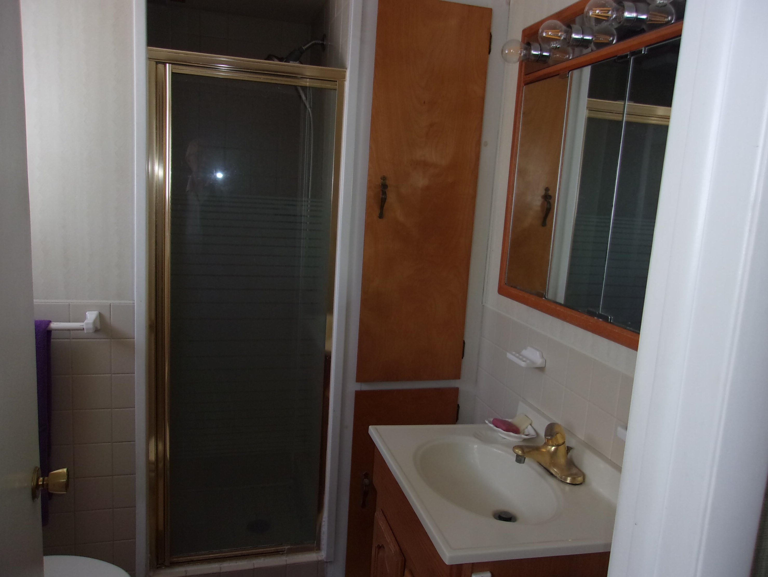 613 Kosciusko St, Stronach MI  49660-3014 exterior