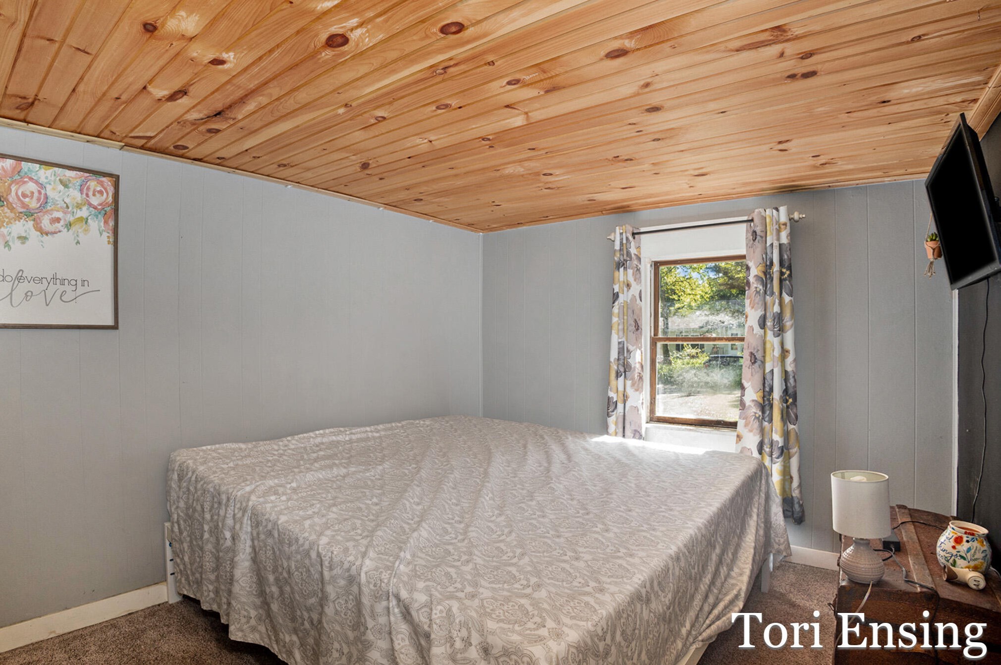 707 Camburn St, Stanton MI 48888-9388 exterior