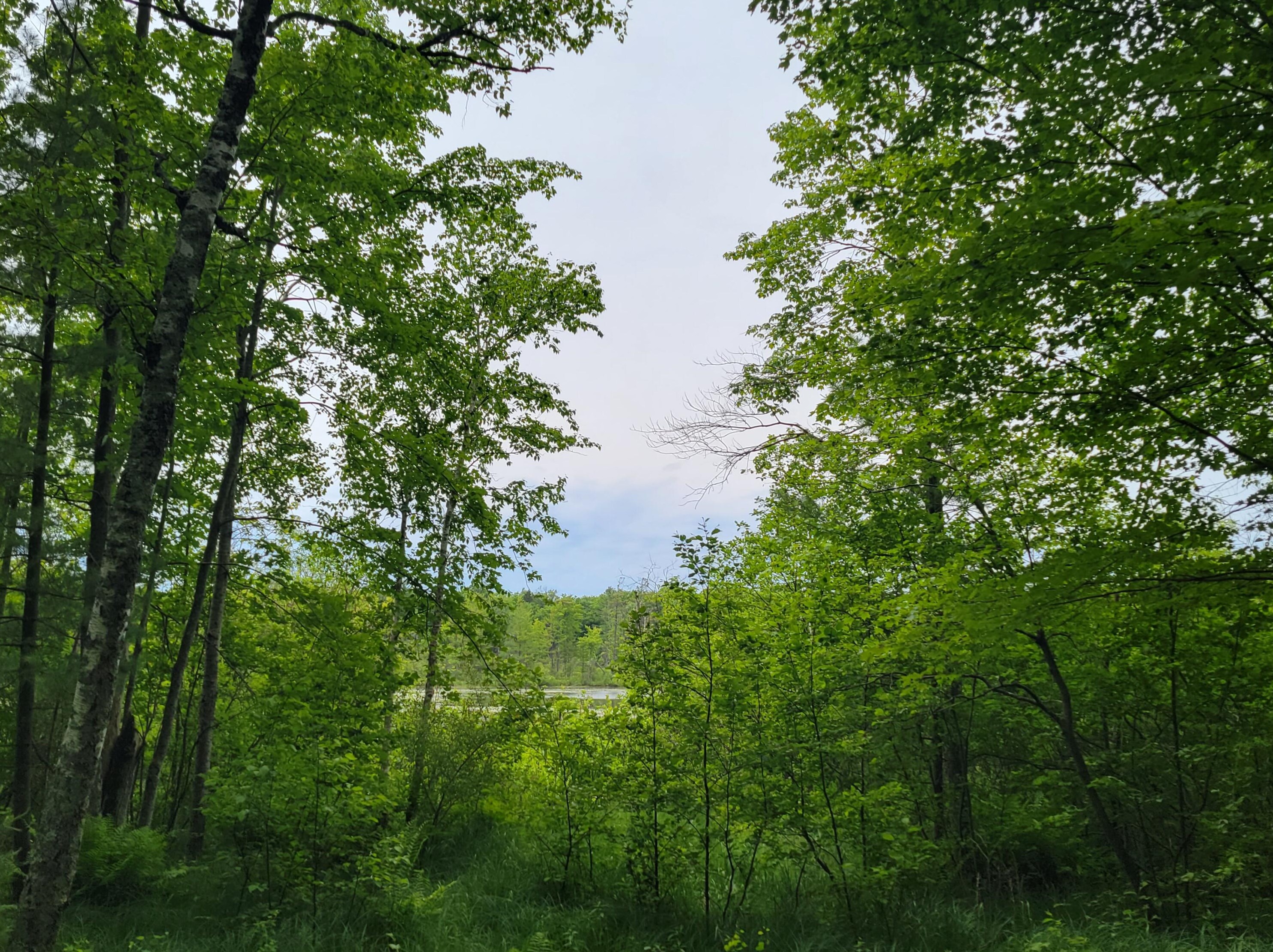 4692 Swihart Rd, Brethren, MI 49619