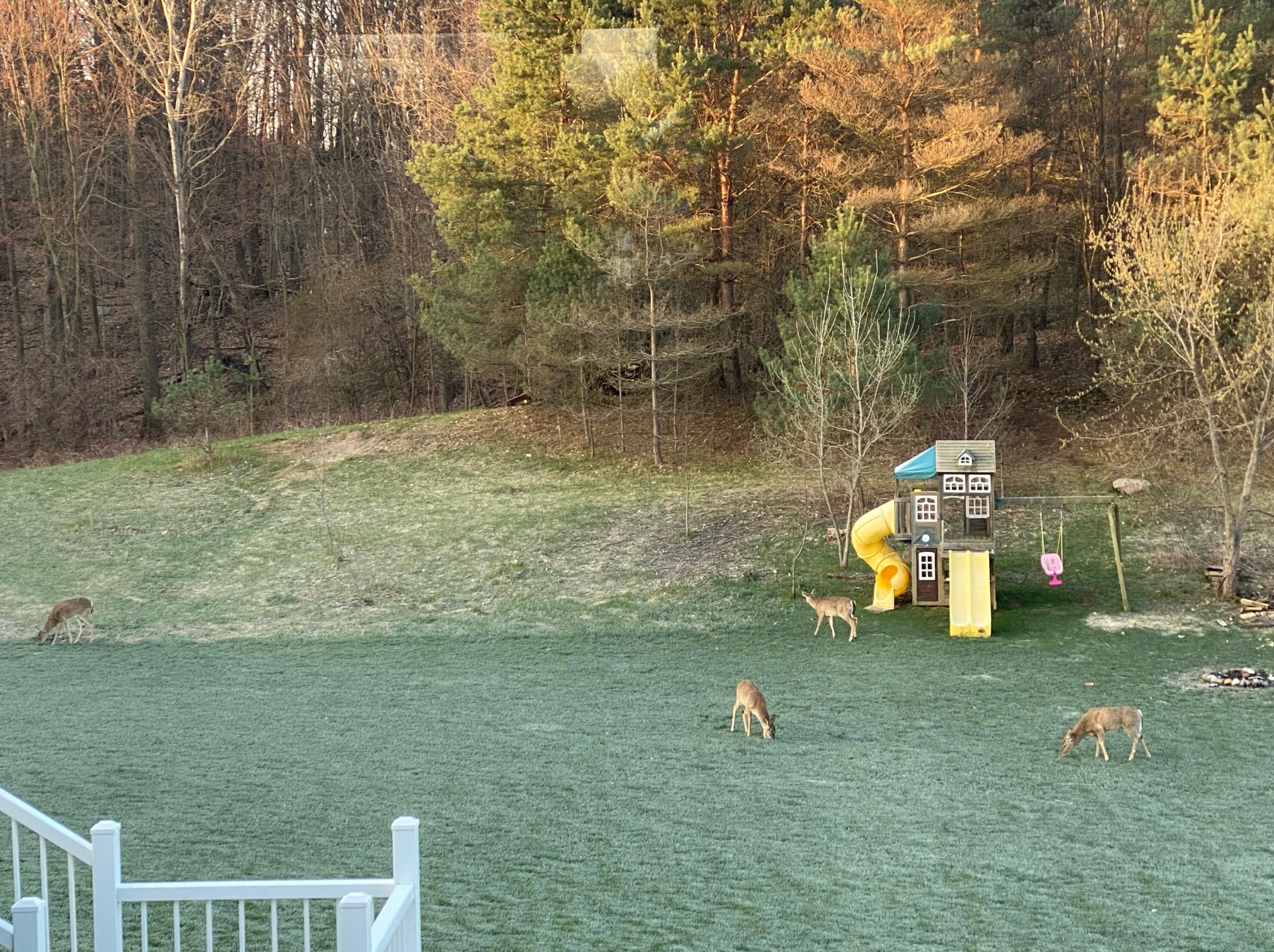 5814 Cannon Hills Dr, Ada MI 49301-8835 exterior