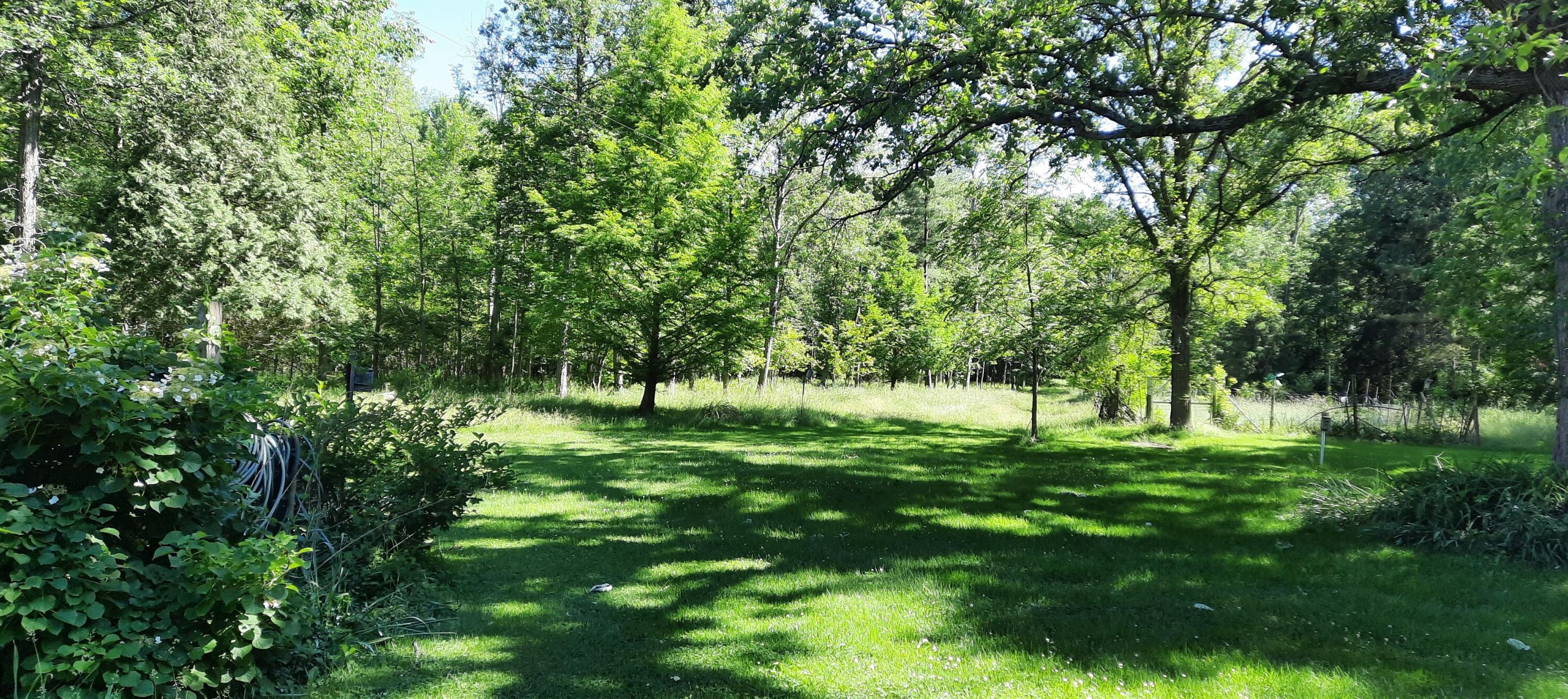 6286 Grand Riv Dr, Ada MI 49301-9503 exterior