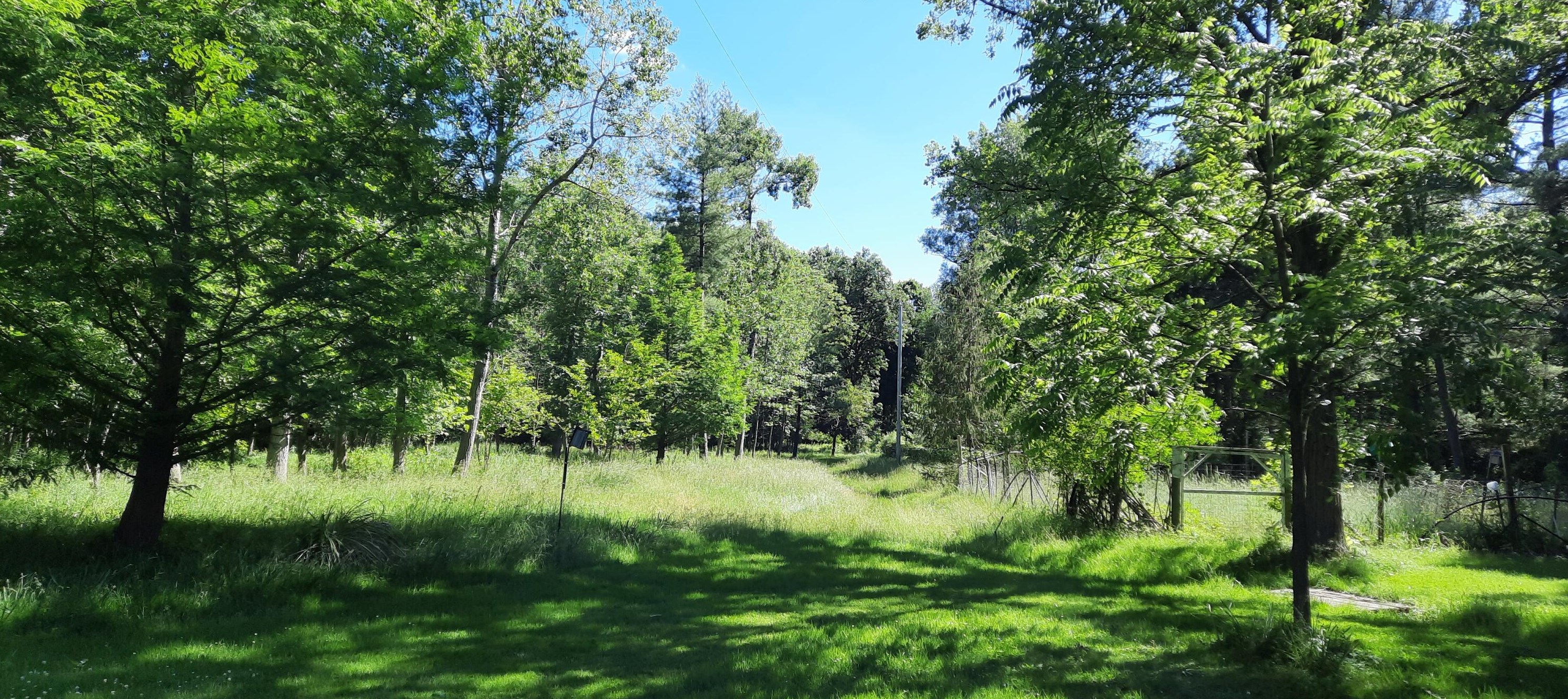 6286 Grand Riv Dr, Ada MI 49301-9503 exterior