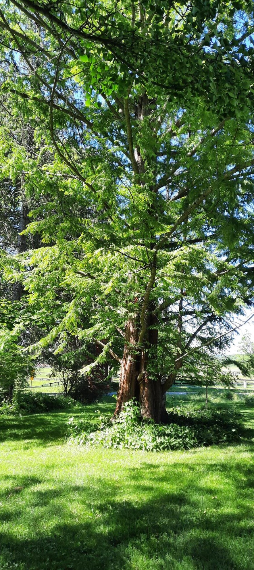 6286 Grand Riv Dr, Ada MI 49301-9503 exterior