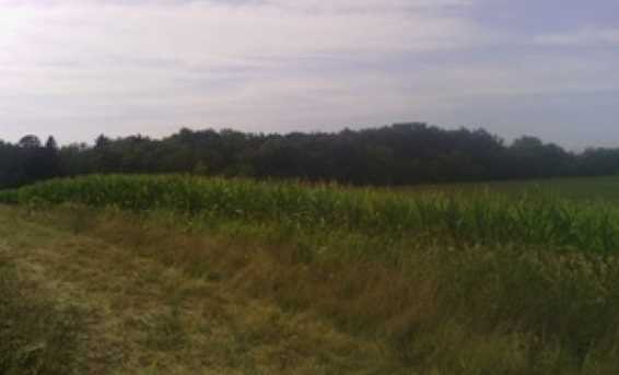 Lt3 County Line Rd #T3-065700C - Photo 1