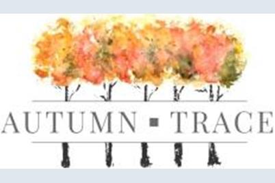 Lt6  Autumn Trace Ct - Photo 1