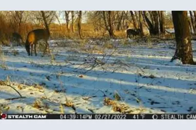 Lt2  County Road O -, Lebanon, WI 53036 - Photo 1
