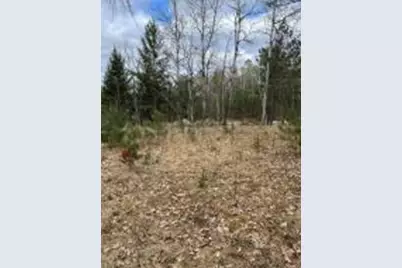 3261  County Highway G -, Pelican, WI 54501 - Photo 1