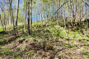 0 County Road P -, Wellington, WI 54651 - Photo 1