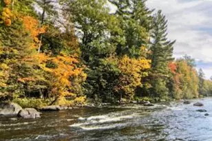 Lt5 Upper Roaring Rapids Ln, Silver Cliff, WI 54104 - Photo 1