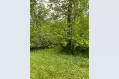 Lt0  Netzel Ln, Stephenson, WI 54114 - Photo 1