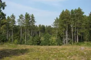 396 Bush Rd, Melrose, WI 54642 - Photo 1