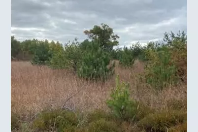 Lt0  Smiley Rd, Athelstane, WI 54104 - Photo 1