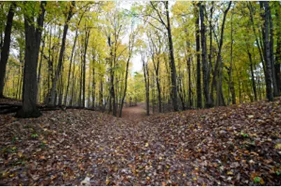 Lt3  County Line Rd, Merton, WI 53029 - Photo 1