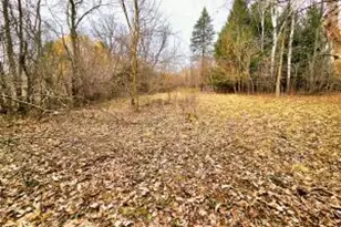 Lts 6-9 Arbutus Rd, Sugar Creek, WI 53121 - Photo 1