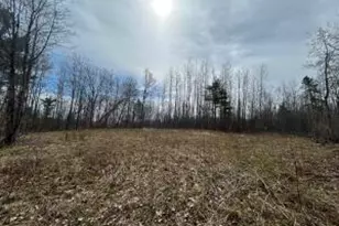 16003 Cedar Lk Ln, Doty, WI 54149 - Photo 1
