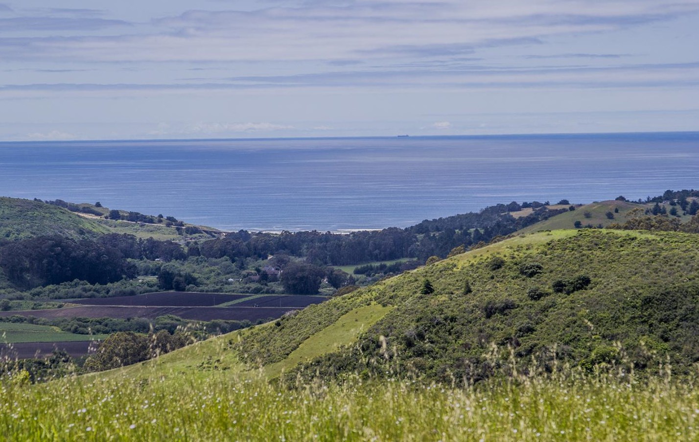 145 Bear Gulch Rd, San Gregorio, CA 94074-9825