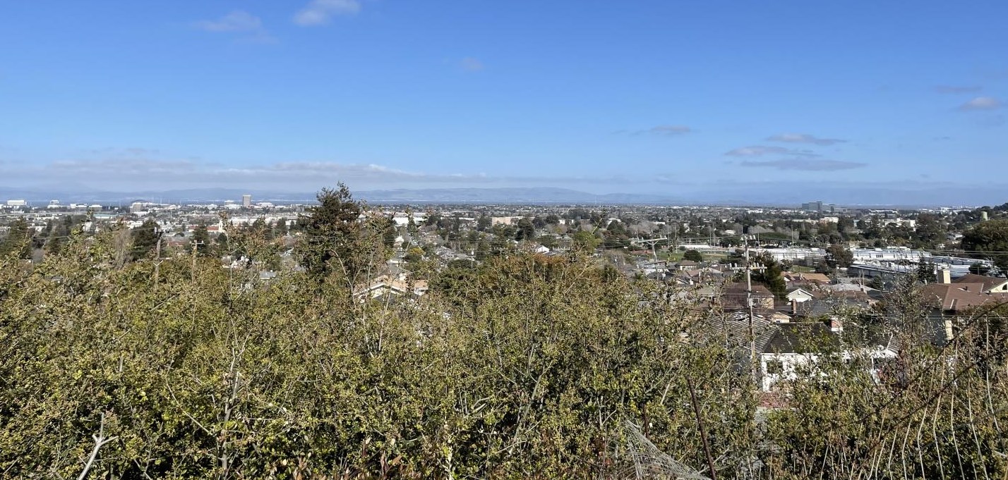2909 Sunset Ter, San Mateo, CA 94403