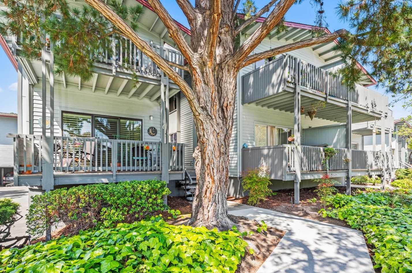 4198 George Ave 6, San Mateo, CA 94403