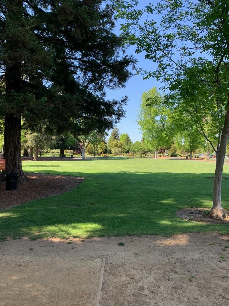 12311 Saraglen Dr, Saratoga CA  95070-3224 exterior