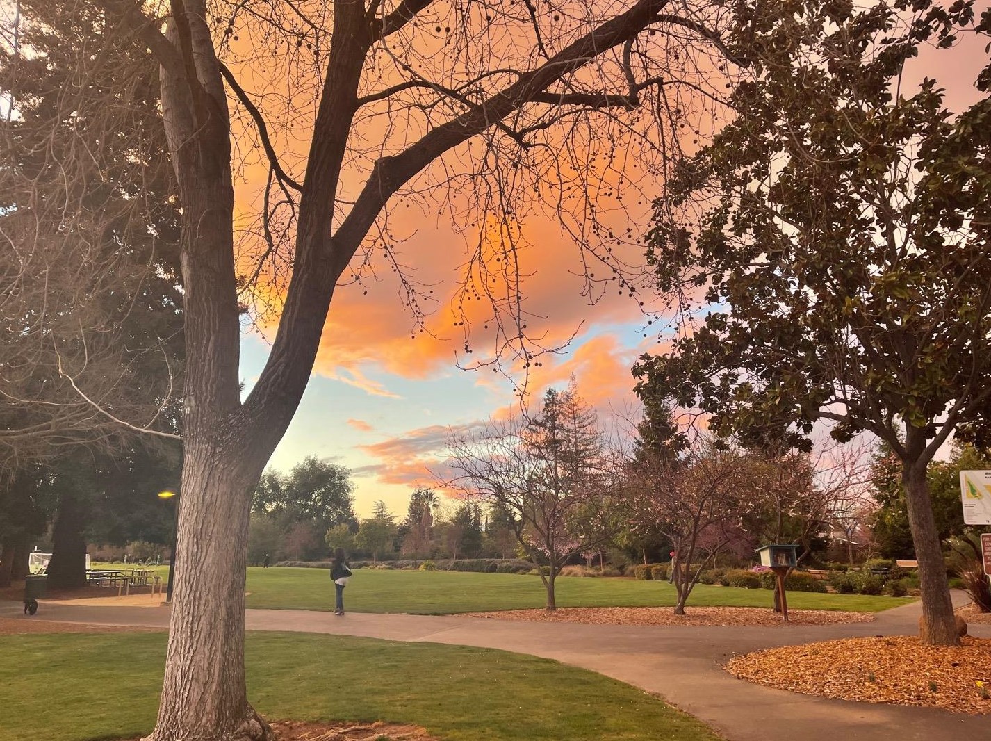 12311 Saraglen Dr, Saratoga CA  95070-3224 exterior