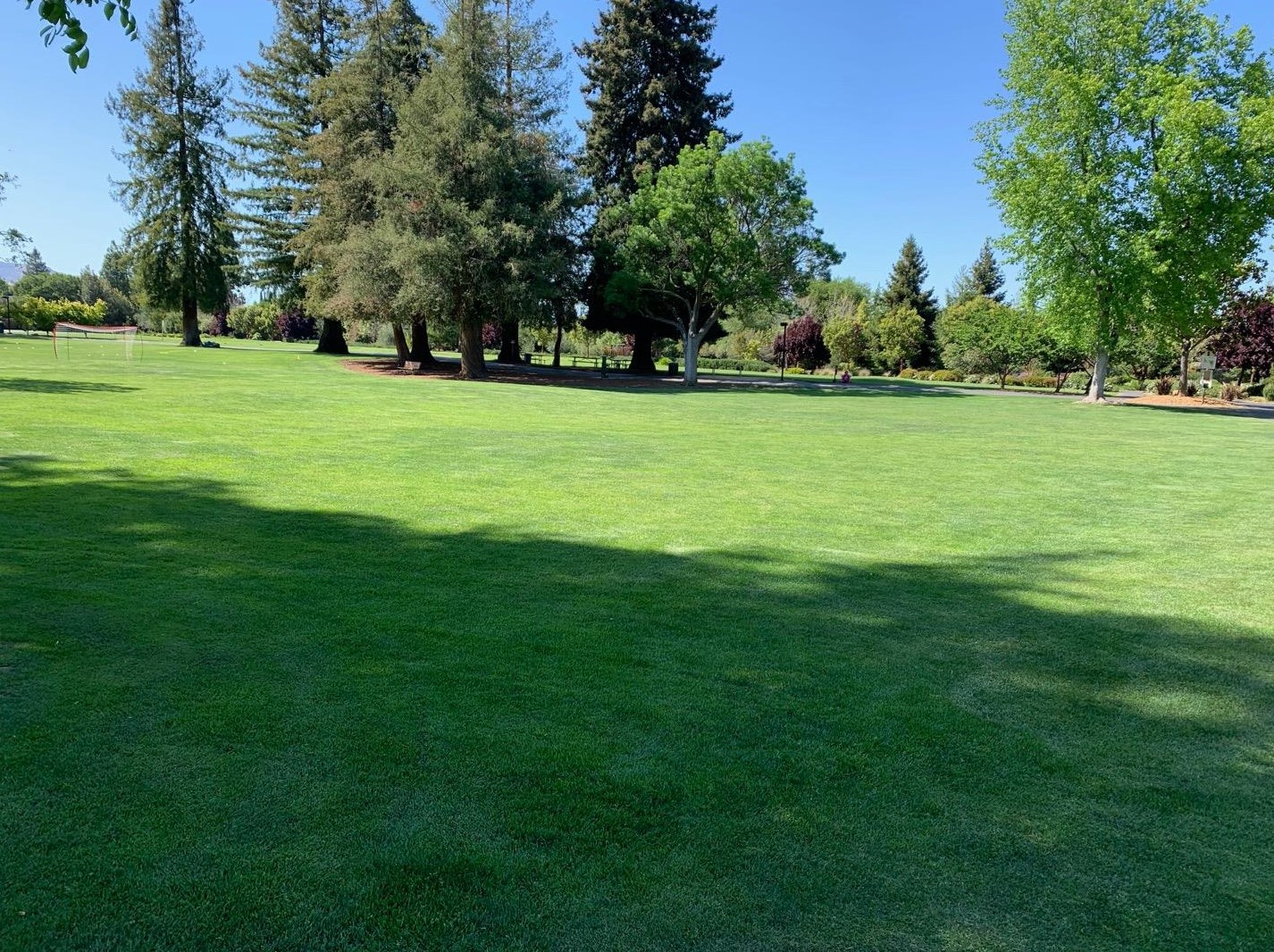 12311 Saraglen Dr, Saratoga CA  95070-3224 exterior