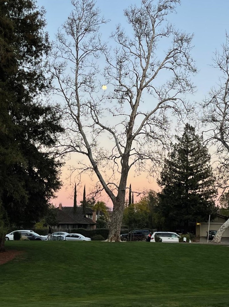 12311 Saraglen Dr, Saratoga CA  95070-3224 exterior