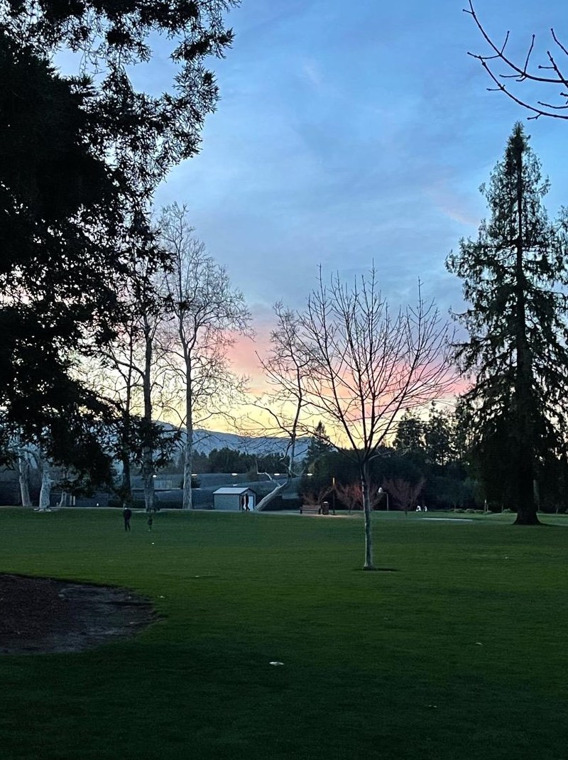 12311 Saraglen Dr, Saratoga CA  95070-3224 exterior