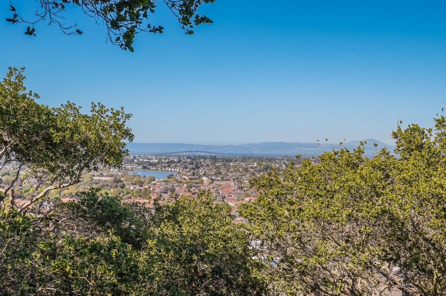 16 Camino Vista Ct, Belmont, CA 94002