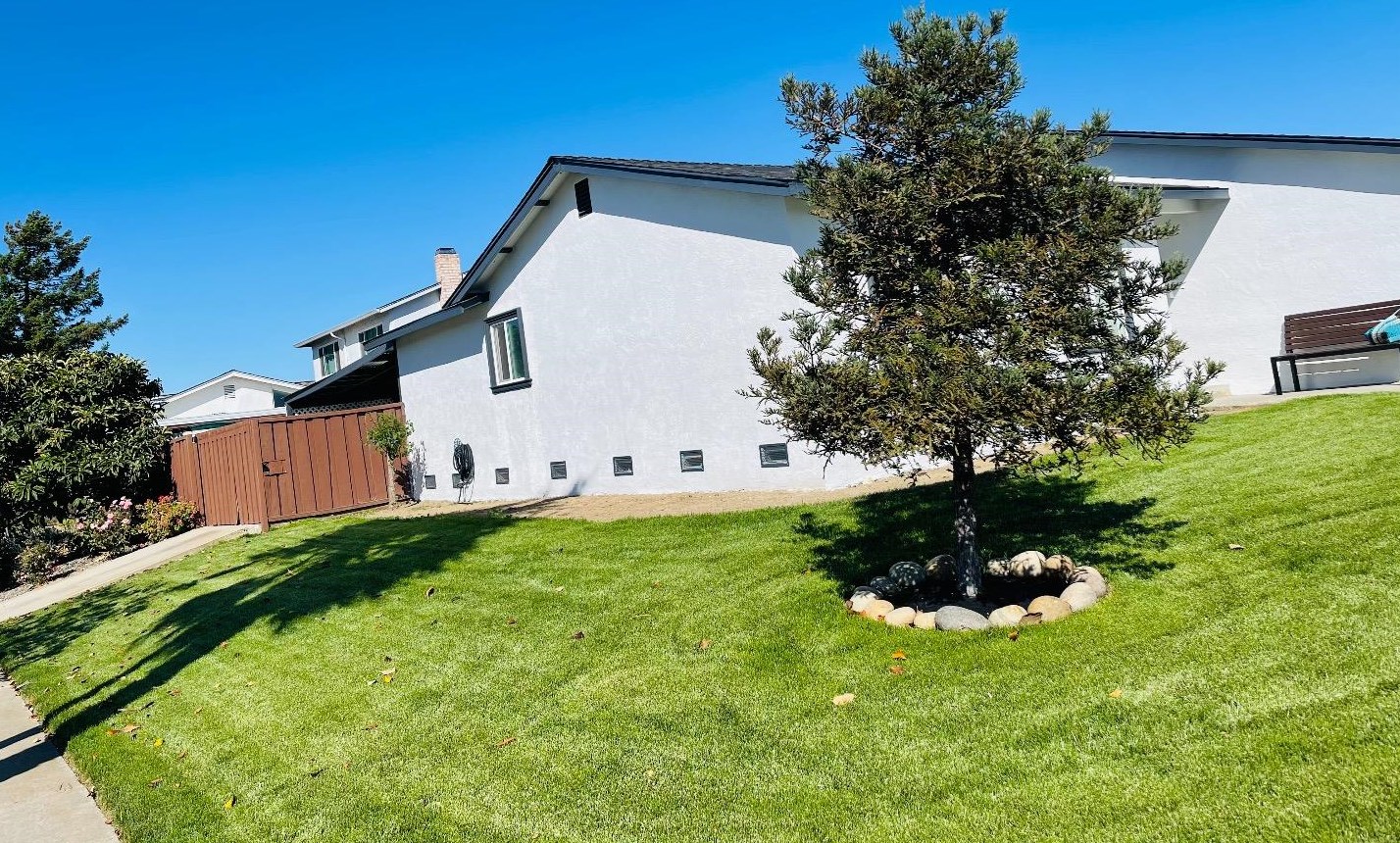 36718 Spruce St, Newark, CA 94560