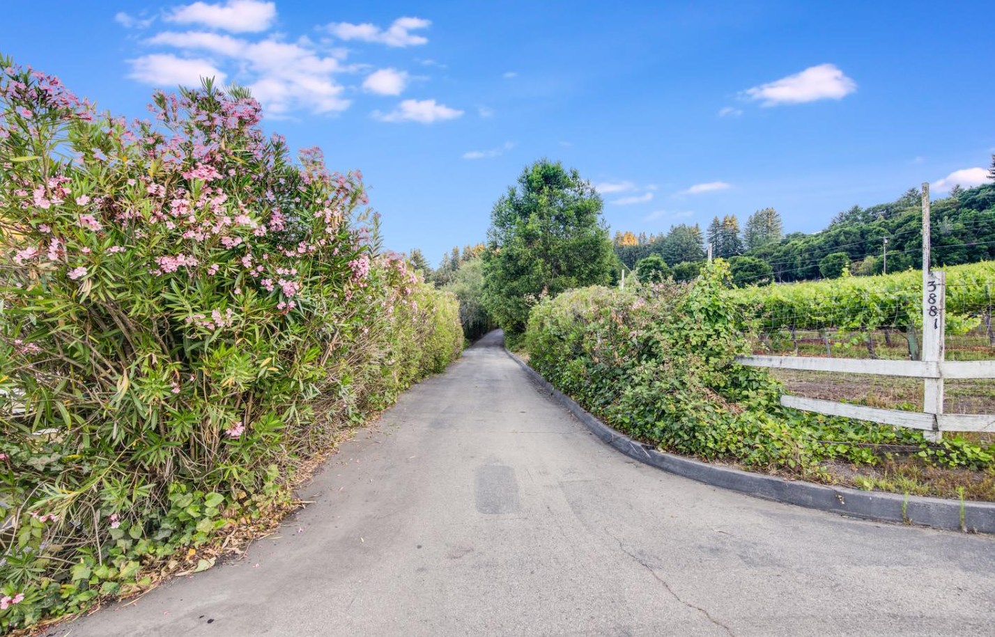 3881 Trout Gulch Rd, Aptos, CA 95003